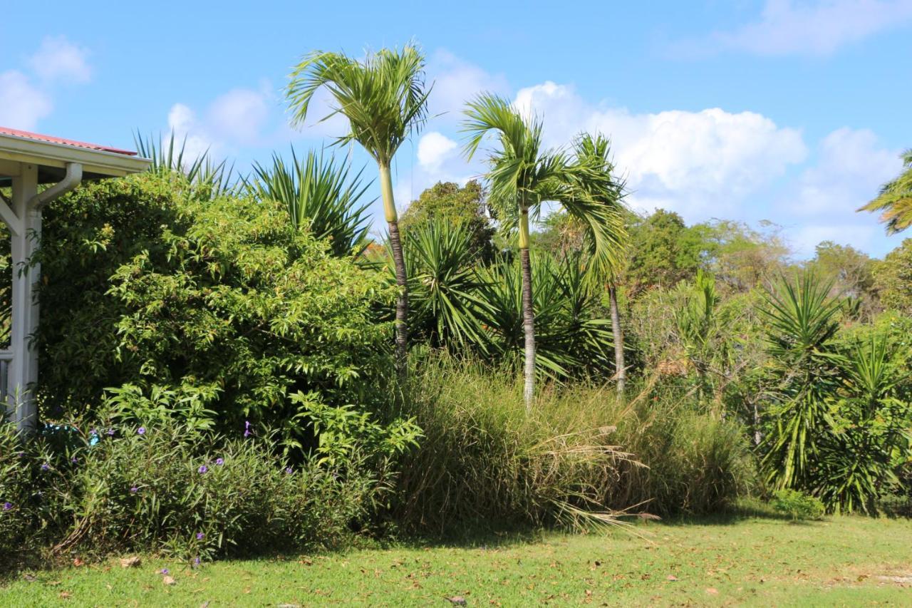 Les Z'Alizes Vila Le Moule Exterior foto